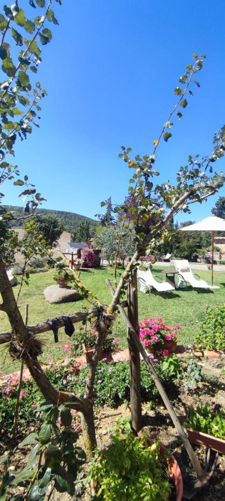 Agriturismo Il Pozzo Castiglione dʼOrcia المظهر الخارجي الصورة